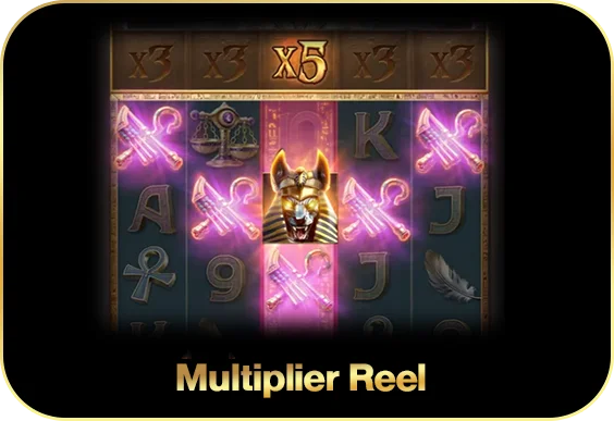 Multiplier Reel